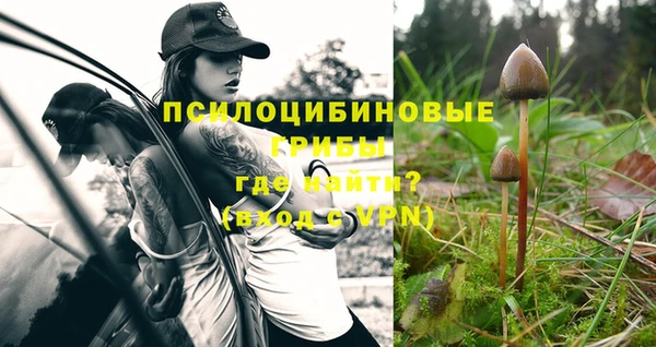 Альфа ПВП Лиски