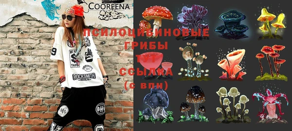 скорость Липки
