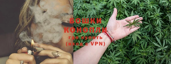 Альфа ПВП Лиски
