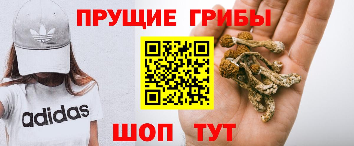 Галлюциногенные грибы MAGIC MUSHROOMS Новочеркасск