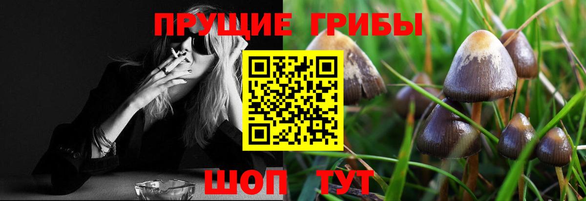 Новочеркасск  Псилоцибиновые грибы Cubensis  купить наркоту  Вход с VPN  Галлюциногенные грибы мухоморы 